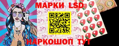 стафф Кандалакша