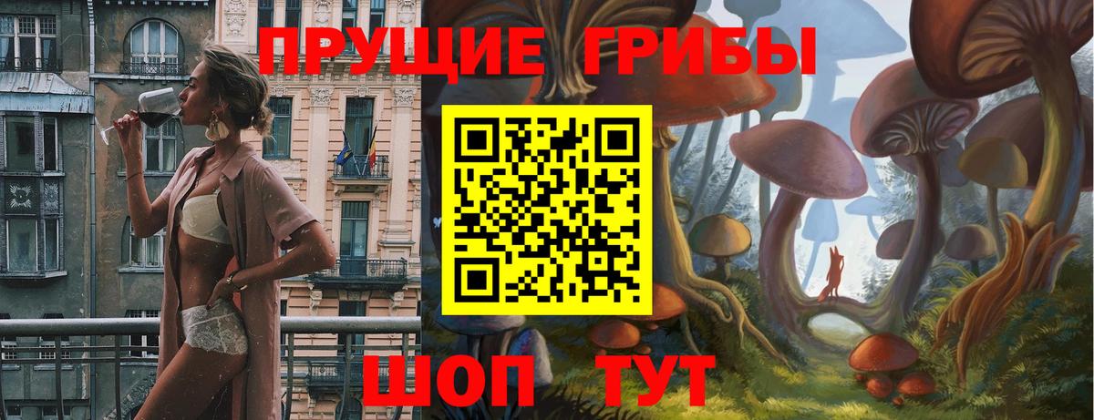 Галлюциногенные грибы Psilocybine cubensis Лангепас